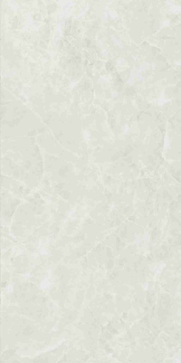 Kraken Light Polished 12 x 24
